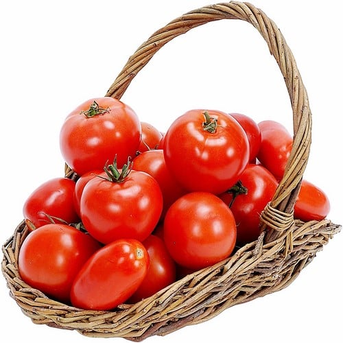 Cà chua hữu cơ - Ảnh 2