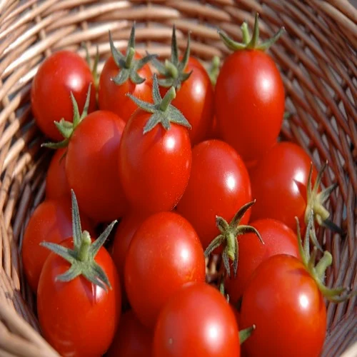 Cà chua hữu cơ - Ảnh 4